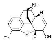 analgesico narcotico > morfine

N demetilato

agonista rec oppioidi mu

SAR -> N deve essere protonato x l'attività

- attivo della morfina xkè essendo + idrofilo non supera BEE