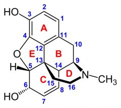 analgesico narcotico > morfine

alcaloide naturale Papaverum somniferum

agonista rec oppioidi mu -> innalzamento soglia del dolore

struttura (5 anelli condensati, config a T, 5C*: 5S 6R 9S 13R 14S, levogira)

SAR (OH in 6, OH in 3, dimension...