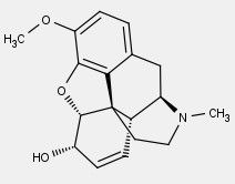 analgesico narcotico > morfine

CH3 in 3 (3-metilmorfina)

agonista rec oppioidi mu

SAR -> sostituzione OH in 3 ! attività analgesica

- analgesico + antitussivo della morfina

idrolizzato in vivo a morfina