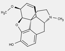 analgesico narcotico > morfine

CH3 in 6 ( 6-metilmorfina)

agonista rec oppioidi mu

SAR -> sostituzione OH in 6 non cambia attività analgesica -> OH in 6 non fa parte del farmacoforo