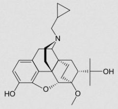 antidoto etorfina derivato da analgesico narcotico > oripavine

SAR = ponte etilenico C-C + OH in 3 e OCH3 in 6 + C 4° in 7 che lega CH3 OH e gruppo lipofilo CH3 che forma leg accessorio -> oppioidi + potenti in assoluto

cPrCH2 sull'N -> antag...