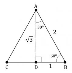 Cut in half yields two equal 30-60-90 triangles