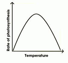 An environment that is too hot will denature the enzymes controlling it and if it is too cold enzyme activity slows.