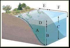 Stratification of freshwater biomes