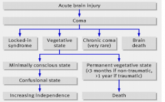 n.b. common stem of acute brain injury