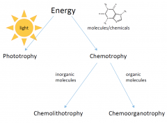 - energy from inorganic molecules (without carbon)