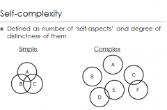 Self Complexity or Simplicity
