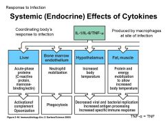 Pro-inflammatory cytokines! (early reponses to infection)
 
Can also cause SYSTEMIC effects as seen here! Mobilize to get an immune response
