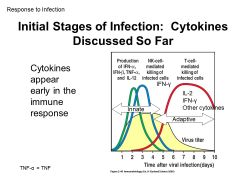 Interferons (IFN) help protect against viral infections.


Type 1 = alpha and beta


Type 2= gamma


Which one is part of innate repsonse (made by most cells) and which one is more adaptive response (made by NK, Th1, and killer Tcells)?