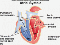 Atrial contraction forces a small amount of 

additional blood into relaxed ventricles
