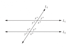 • Thesum of interior angles is 360 
• Interiorangles that combine to form a line sum 180° 
• Anglesfound opposite each other where two lines intersect are equal
P.S. Theseproperties apply to more than two lines that intersect at a point