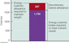 discretionary calorie allowance