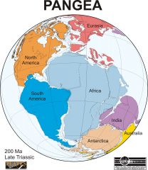  Pangea was a supercontinent that existed during the late Paleozoic and early Mesozoic eras. It assembled from earlier continental units approximately 300 million years ago, and it began to break apart about 175 million years ago.