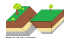 

Dip-slip faults can occur either as reverse or as normal faults. A normal fault occurs when the crust is extended.