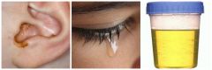 -Tears
-Earwax
-Acidic Urine
-Cilia in the respiratory tract 