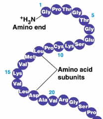 - determines which amino acids are present and in what order, ultimately determining structure
- results from covalent bonding b/w amino acids
- the order of amino acids are determined by the order or nucleotides in its gene
- a protein folds i...