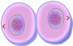  the cytoplasmic division of a cell at the end of mitosis or meiosis, bringing about the separation into two daughter cells. 