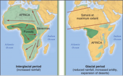 -Change in rainfall patterns
-Affect resources and migration routes
-Expanded sahara desert