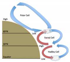 1. Polar Cell
2. Ferrell Cell
3. Hadley Cell