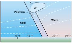 The boundary between cold, dry polar air and warm, wet tropical air. 