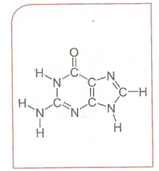 What is this molecule?