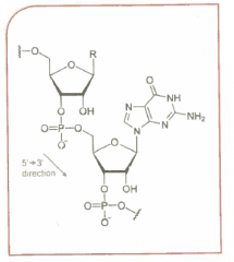 What is this molecule?