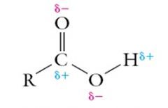 Carboxylic acids are very soluble in water due to the difference in electronegativities of Carbon and Oxygen. Hydrogen bonds form between water and the polar groups on a carboxylic acid.


 
