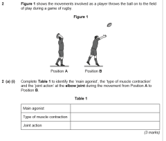 Using Figure 1, name, sketch and label the lever system operating at the elbow during the movement from Position A to Position B.  (3 marks)Jan 2012