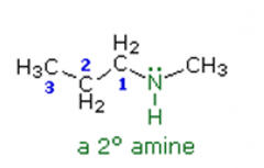 Amines


Name the following amine: