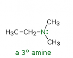 Amines


Name the following amine: