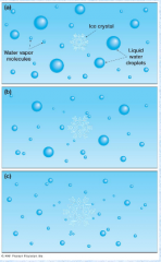 -Bergeron process
-Ice crystals and supercooled droplets coexist in cold clouds
-Ice crystals attract vapor, supercooled drops -evaporate to replenish the vapor
-Ice crystals fall as snow or rain
