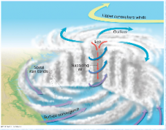 -Prominent low pressure center, winds spiral inward
-Steep pressure gradient and strong winds
-Warm moist air enters storm to form rain and release latent heat
-Eye wall and eye 
-Anticyclonic winds aloft, divergence aloft