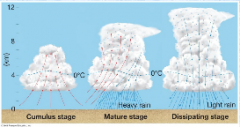 -Violent convective storms
-Accompanied by thunder and lightning
-Formation stages:
     >Cumulus stage
     >Mature stage
     >Dissipating stage
-Atmospheric conditions prone to thunderstorm formation