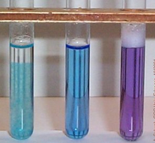 Tests for the presence of proteins by reacting with peptide bonds.
A positive test is a purple color. (Any other color change is a negative result)