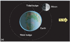 -Gravitational attraction of Moon (lunar tides) and Sun (solar tides)


-More gravitational force on the side of Earth facing the Moon


-More centripetal force on opposite side to keep --Earth in orbit


-Two bulges form on opposite sides o...