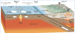 -Midocean ridges formed by magma rising up from the mantle


-New basaltic ocean floor created, moves away from ridge


-At trenches, older lithosphere descends into the asthenosphere where it is recycled (subduction)