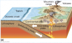 -Oceanic plate sinks since more dense; subduction


 


-Forms oceanic trench and continental mountains (i.e., Cascades, Andes)


-Earthquakes occur along margin


-Volcano formation along the plates—continental volcanic arc


-Forms ...