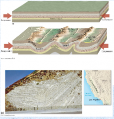 -Results when rock is subjected to lateral compression


-Can take place on any scale


-Can vary in complexity


-Two types:


     >Anticline/upfold, can be forced to have reverse orientation, an overturned fold


     >Syncline/...