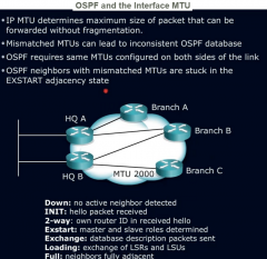 Configure And Verify Ospf Neighbor Relationship Flashcards Cram Com