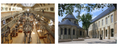 Left: Natural History Museum, Paris 

Right: Conservatory of Arts andCrafts, Paris