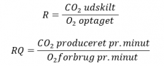 250 mL O2 bliver optaget og transporteret til den pulmonære cirkulation pr. min.200 mL CO2 bliver udskilt pr. min.

R = 0,8 i steady state.

Når R = RQ, er der steady state. Dvs. vi opbruger så meget O2 som vi producerer
CO2.      
