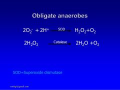 Break down hydrogen peroxide to water and oxygen 



(+) Bubbling
(=) no bubbles