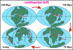 A theory stating that part of the Earth's crust drifts atop a liquid core.