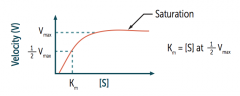 Most follow a hyperbolic curve; however, enzymatic reactions that exhibit a sigmoid curve usually indicate cooperative kinetics (eg, hemoglobin)

Y-axis = Velocity (V)
X-axis = [S]