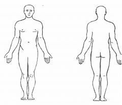 Stance at which human form is:
Standing erect facing observer
Legs together
Feet flat/forward
head is level, eyes looking forward
Hands with palms facing outward, at sides