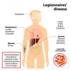 due to Legionella pneumophila infection

severe pneumonia ( unilateral and lobar)
fever
GI and CNS symptoms
Common in smokers and in chronic lung disease