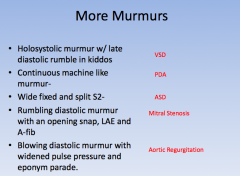 murmur buzzwords