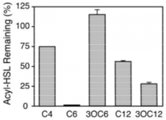 High degradation activity for C6 molecules and C4-HSL with very little diffusion