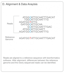 4. Data Analysis
- newly identified sequence reads are aligned to a reference genome
- downstream analysis: SNPs, indel identification, read counting for RNA methods, phylogenetic or metagenomic analysis, and more.