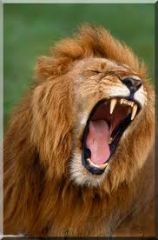 (v) to roar like a lion, to cry out
("Le peuple va _______,
Et de son sang rougir
Le pave de nos rues.")